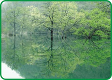 環(huán)境方針